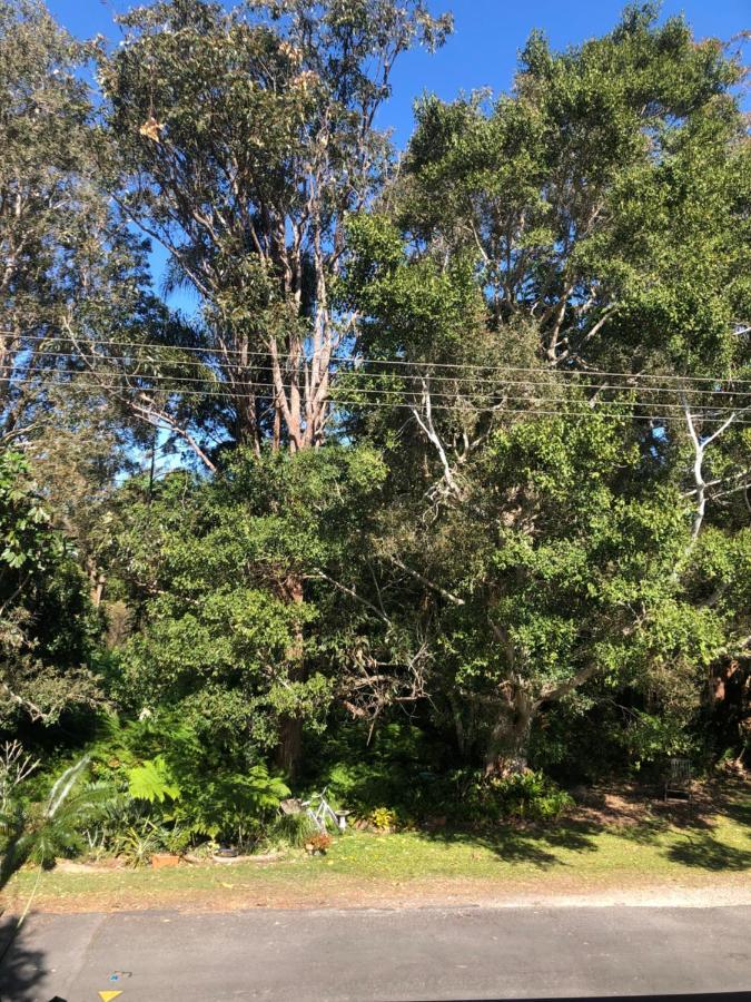 Apartamento Brunswick Heads Treetop Studio Exterior foto